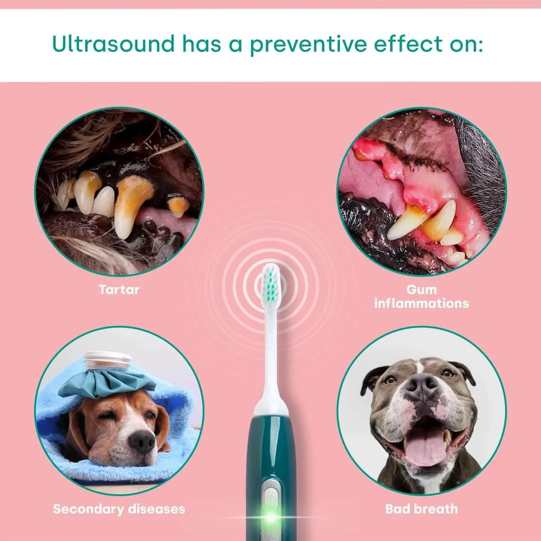 emmi pet marketing material 14