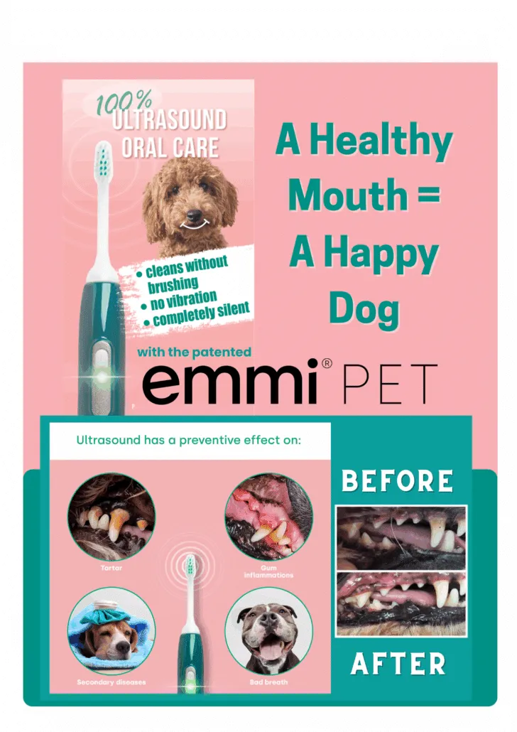 emmipet1